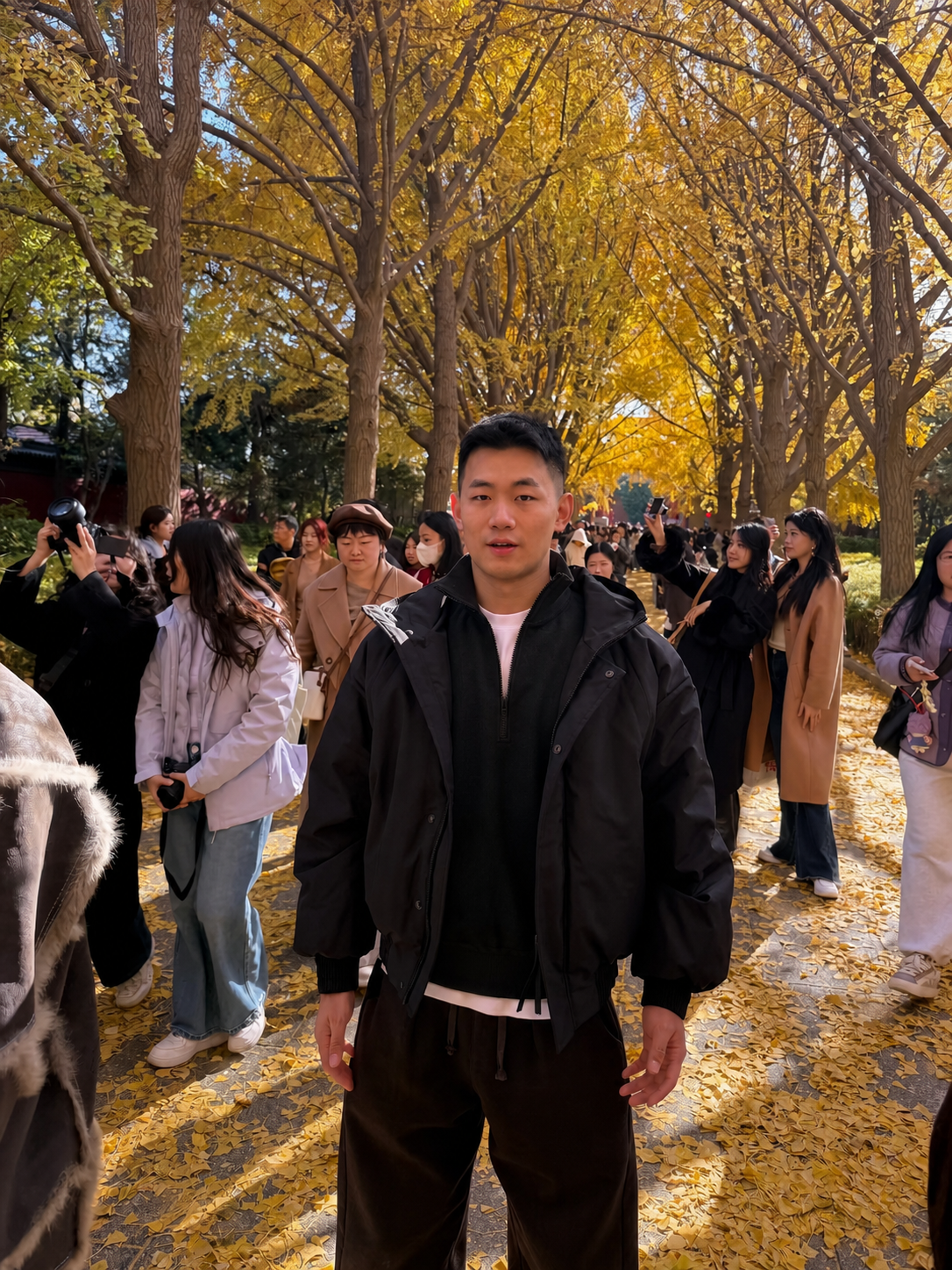 Darren 在金黄银杏树下
