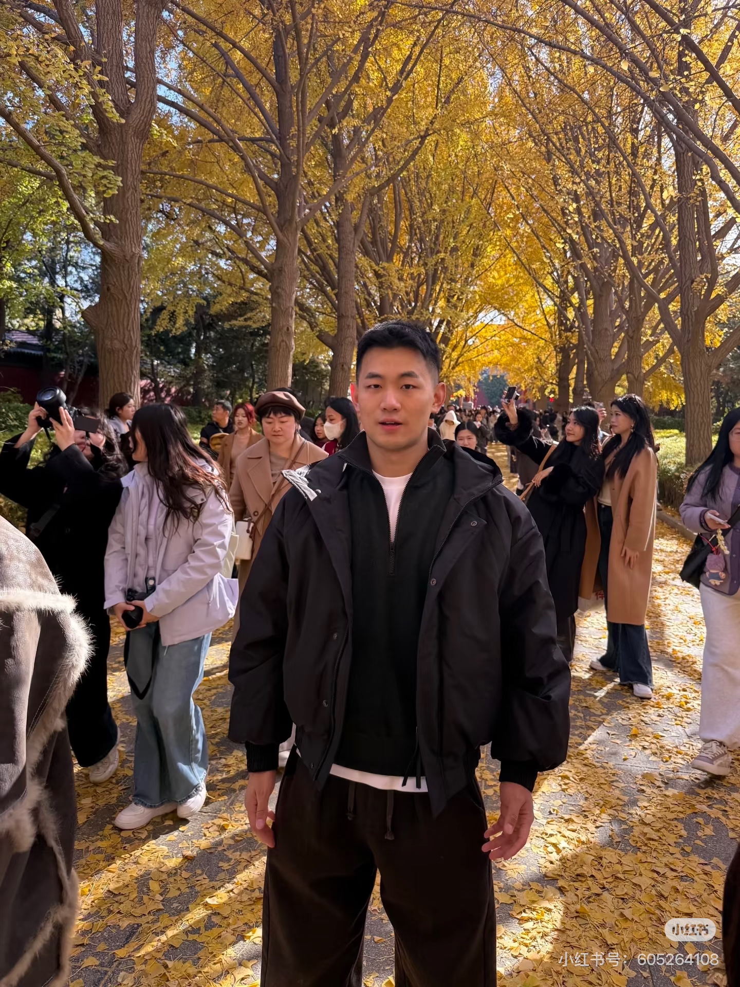 Darren 在金黄银杏树下